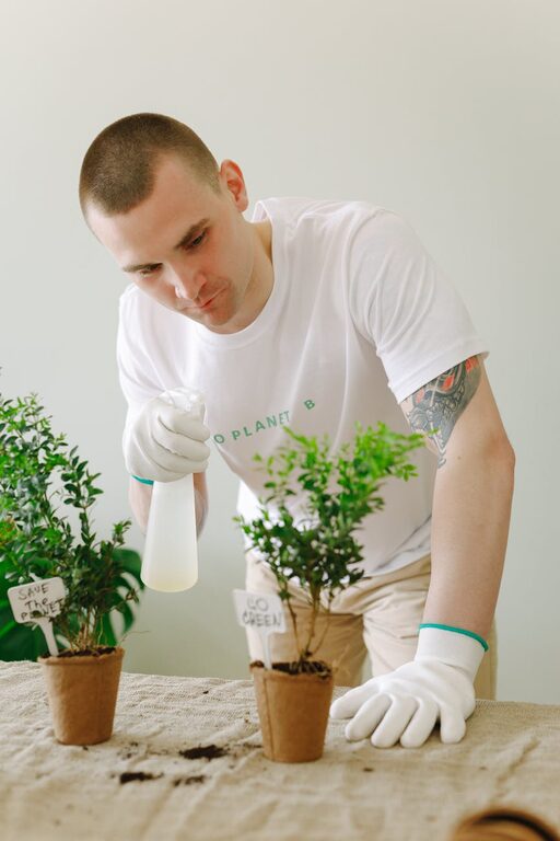 Tips for Creating an Eco-Friendly Home Garden